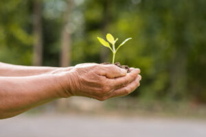Home - elderly person holding plant scaled