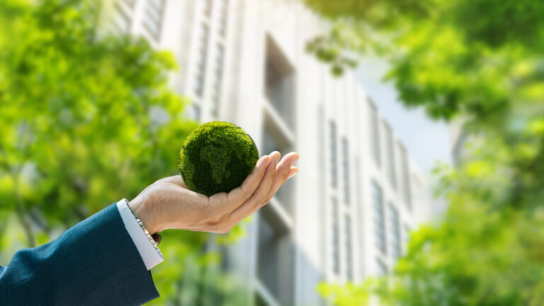 News - environmental concept green globe in the hands of 2024 07 22 19 35 07 utc scaled