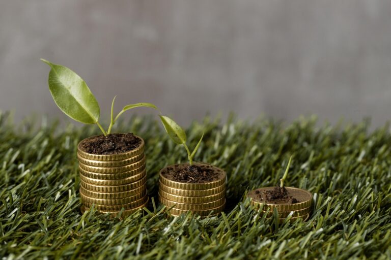 News - high angle three stacks coins grass with plants dirt scaled