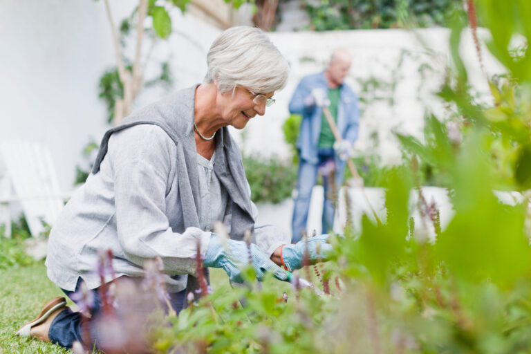 News - older couple gardening in backyard 2023 11 27 05 02 05 utc scaled News - older couple gardening in backyard 2023 11 27 05 02 05 utc scaled