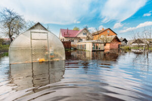 Home - vegetable garden beds in water during spring flood 2023 11 27 05 01 29 utc